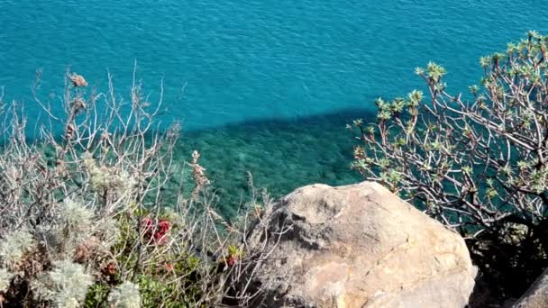 Mediterrane turkoois water en zee — Stockvideo