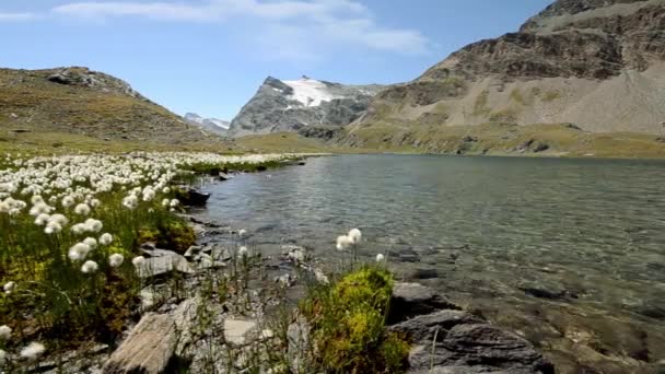 Alpesi patak magas hegyre, közelről — Stock videók