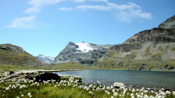 Arroyo alpino en alta montaña — Vídeos de Stock