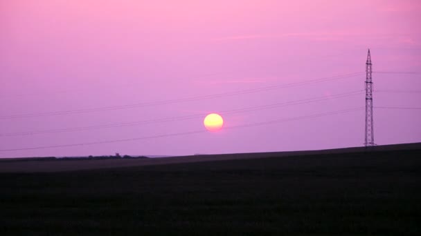 Różowy zachód słońca latem — Wideo stockowe