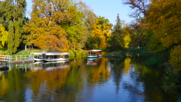 Båt närmar sig brygga, hösten sjö, höstfärger, 4k — Stockvideo