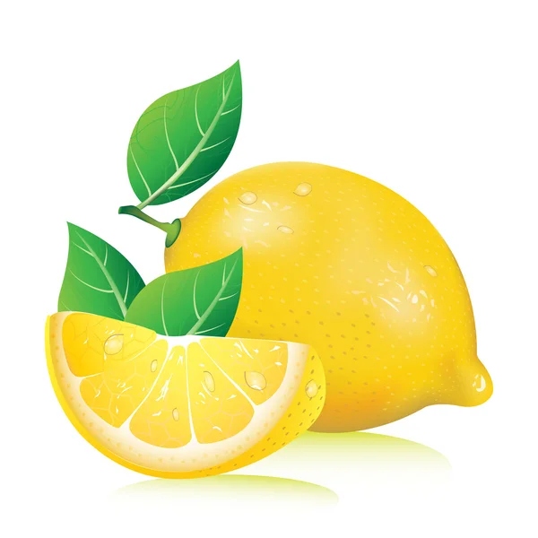 Limone realistico — Vettoriale Stock