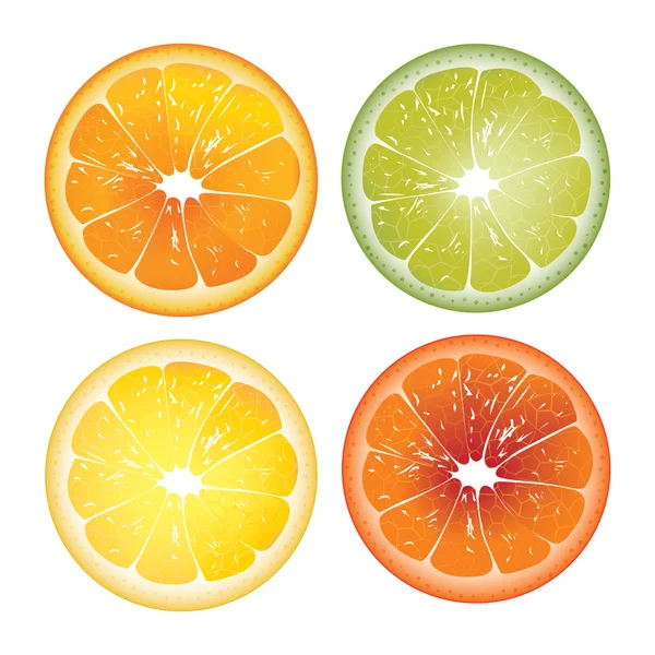 Realistische Orange und Grapefruit und zwei Zitronen — Stockvektor