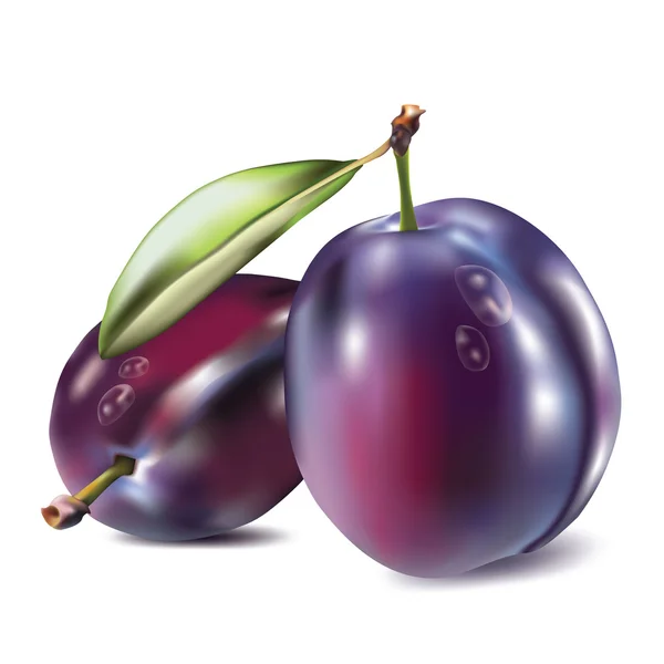 Realistic plum — Stock Vector