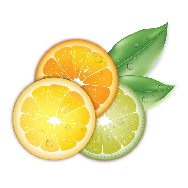 Gerçekçi portakal ve limon