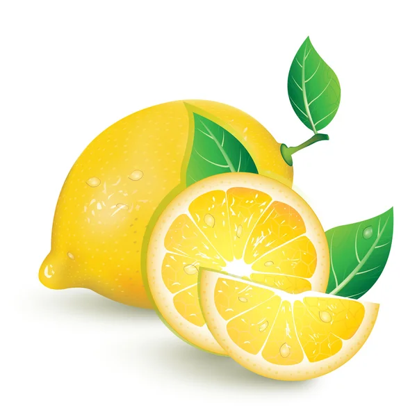 Realistic _ lemon _ 2 — Vector de stock