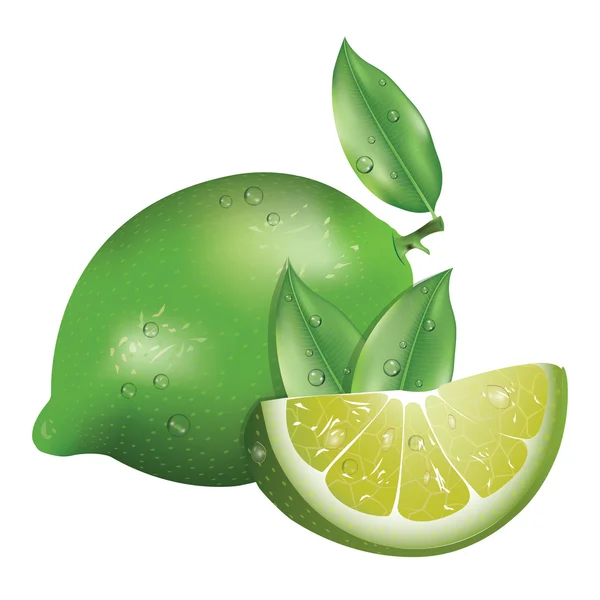 Realistic_lemon_3 — Stockvector