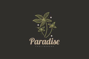 Güzellik, sağlık hizmetleri veya doğal ürün logoları için klasik tarzında soyut süslemeleri olan üç hindistan cevizi ağacı.