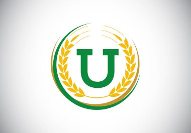 Buğday kulaklı U harfi sembolü. Organik buğday tarımı logosu tasarımı. Tarım logosu tasarım vektör şablonu.