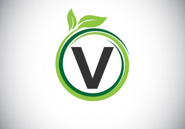 V harfinin baş harfleri yeşil yapraklı bir spiral şeklinde. Yazı tipi amblemi. Doğa simgesi işareti. İş sağlığı, doğa, çiftlik ve şirket kimliği için modern vektör logosu tasarımı.