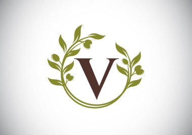 Zeytin dalı çelenkli V harfli işaret sembolü. Zeytin dalı tarafından yapılan yuvarlak çiçekli çerçeve. Tarım endüstrisi logo tasarım vektör şablonu. Zeytin yağı etiketi