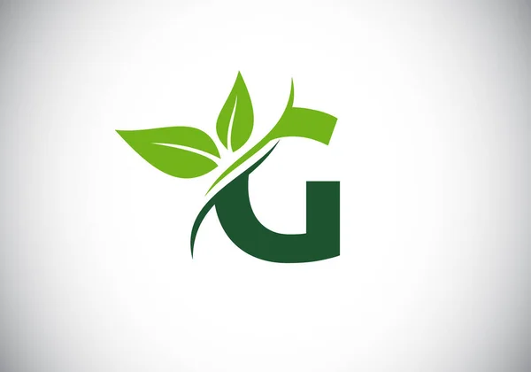 Αρχικό Μονογράφημα Δύο Φύλλα Πράσινη Φιλική Προς Περιβάλλον Έννοια Λογότυπο — Διανυσματικό Αρχείο