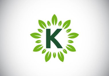 K harfinin baş harfleri alfabede ve yaprak çelengi. Yeşil yaprak, çiçek logosu tasarımı konsepti. İş dünyası ve şirket kimliği için modern vektör logosu tasarımı.