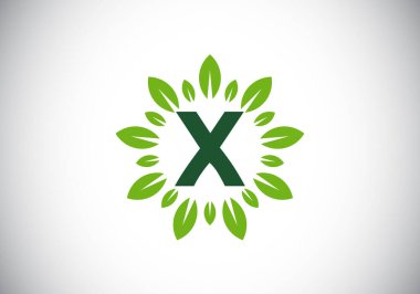 Yaprak çelenkli X baş harfli harf alfabesi. Yeşil yaprak, çiçek logosu tasarımı konsepti. İş dünyası ve şirket kimliği için modern vektör logosu tasarımı.