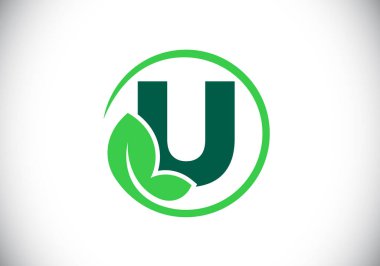 Yapraklı ilk U harfli alfabe. Çevre dostu logo konsepti. Yazı tipi amblemi. Ekolojik iş ve şirket kimliği için modern vektör logosu