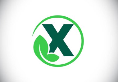 Yapraklı X baş harfleri alfabesi. Çevre dostu logo konsepti. Yazı tipi amblemi. Ekolojik iş ve şirket kimliği için modern vektör logosu