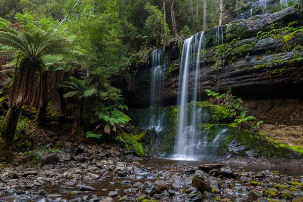Waterfall in the Tasmanian Wilderness — Stock Photo, Image