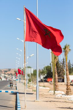 Fas ulusal bayrak