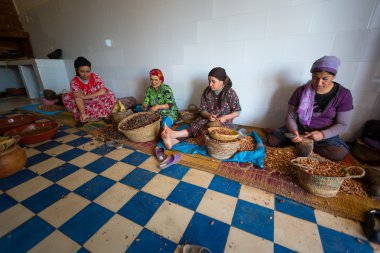 Bir kooperatif argan imalatı için çalışan kadınlar