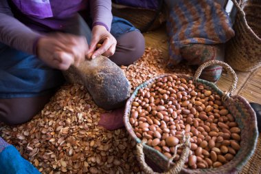 Fas argan yağı fabrikası