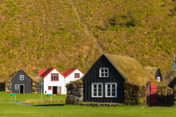 Ein Dorf skougar. Island — Stockfoto