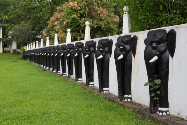 Mur avec des figures d'éléphants dans le monastère Aluvihara . — Photo