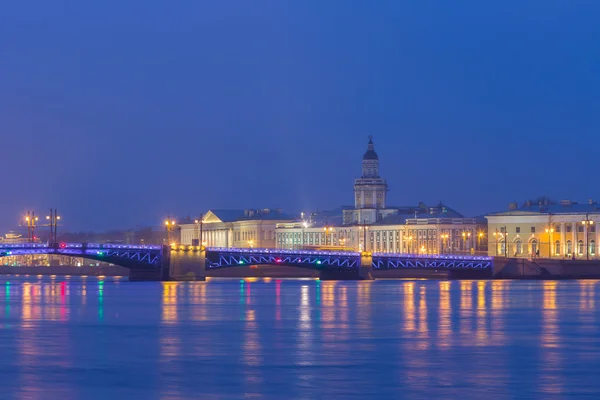 Vue de la Kunstkamera à travers la rivière Neva . — Photo