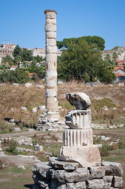 Efes'teki Artemis Tapınağı kalıntıları