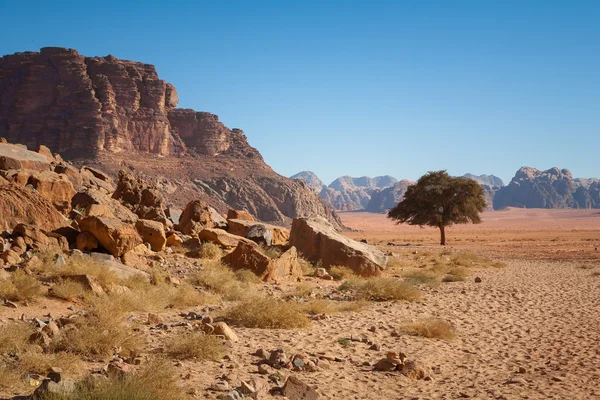 Wadi Rum. Jordan çöl — Stok fotoğraf