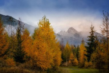 Lomnicky dikişleri sonbahar renklerinde ağaçlarla sisli