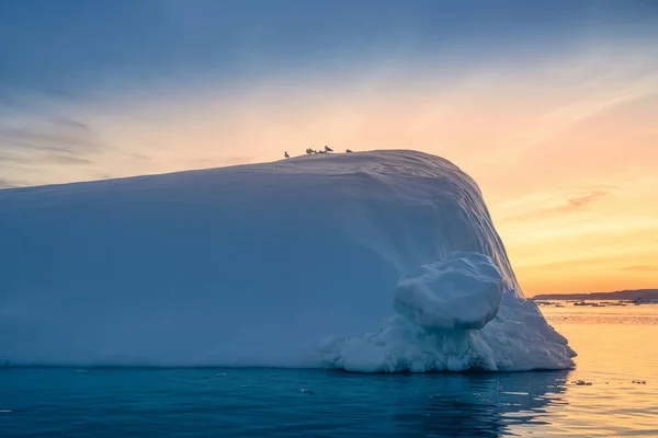 Floating glaciers in the rays of the setting sun at polar night with birds — Stock Photo, Image