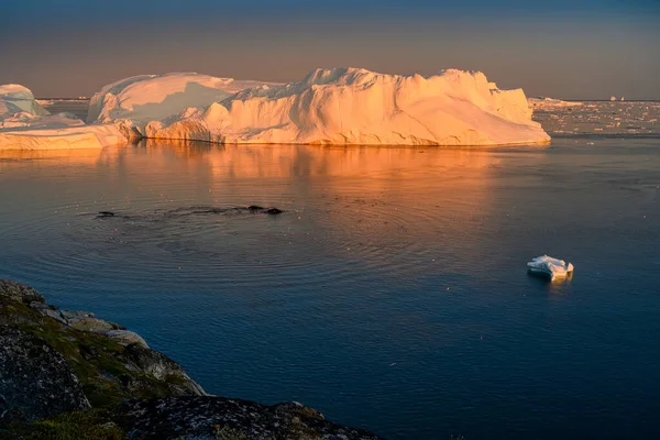 Grönland Ilulissat denizi 2 balina keporkak ve kuşla — Stok fotoğraf