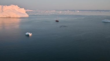 Kambur balina yüzeye çıkıyor ve su buharını üflüyor.