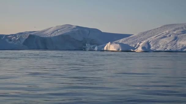 Ballenas flotantes en la bahía cerca de los grandes glaciares — Vídeo de stock