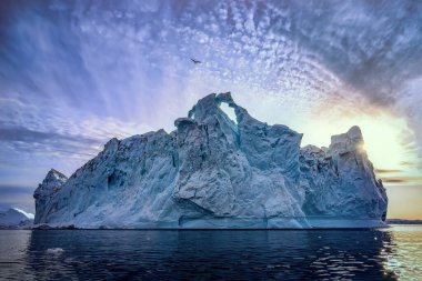 floating glaciers at fjord Disco Bay West Greenland with bird clipart