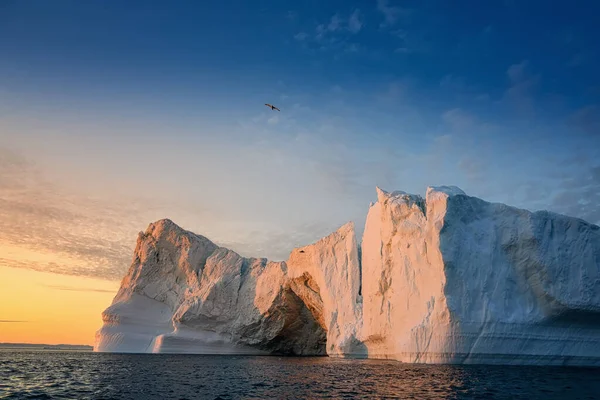 Glaciares flotantes en el fiordo Disco Bay West Groenlandia con aves —  Fotos de Stock