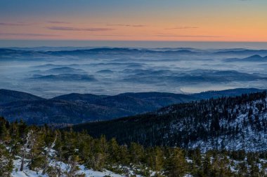 Gün doğmadan önce ağaçlar ve cüce çamı olan karlı bir yer.