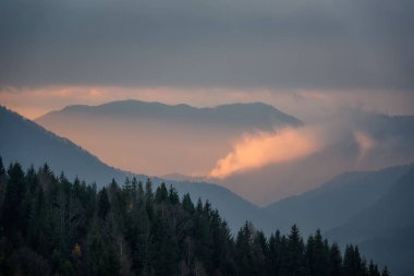 Slovakya 'daki Mala Fatra' da gün doğumunda sisde güneş ışınları