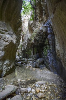 Kıbrıs 'ın Paphos ilindeki Toxeftras Körfezi yakınlarındaki Avakas Vadisi