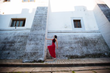 Genç güzel şık kız açık havada Event'de Kırmızı elbiseli ayakta uzun siyah saçlı. Güzel bir gün batımı ışık portre kadar kapatın