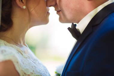 Düğün gününde gelin ve damat bahar doğasında dışarıda yürüyor. Gelin çifti, Yeşil Park 'ta kucaklaşan mutlu yeni evli kadın ve erkek. Dışarıda sevgili bir çift var. Gelin ve damat