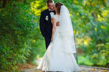 Lüks düğün çift, gelin ve damat parkta yaz aylarında poz evli