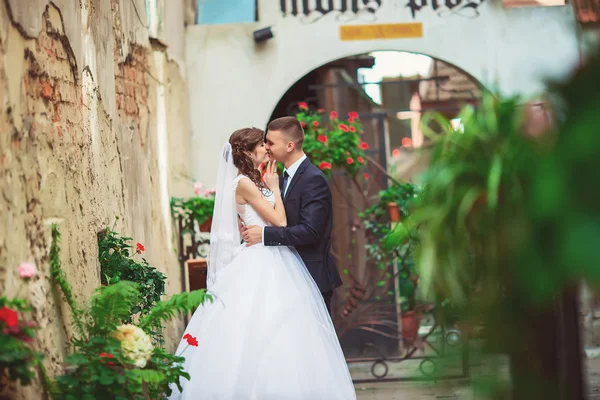 Ślub pary przytulanie i całując przy bramie — Zdjęcie stockowe