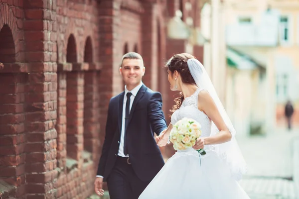 美丽的婚纱，丈夫和妻子，恋人男人女人，新娘和新郎 — 图库照片