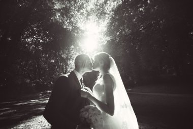 Mutlu gelin ve damat düğün günlerinde