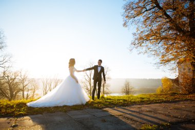 Ahşap evli çiftin harika bir fotoğraf