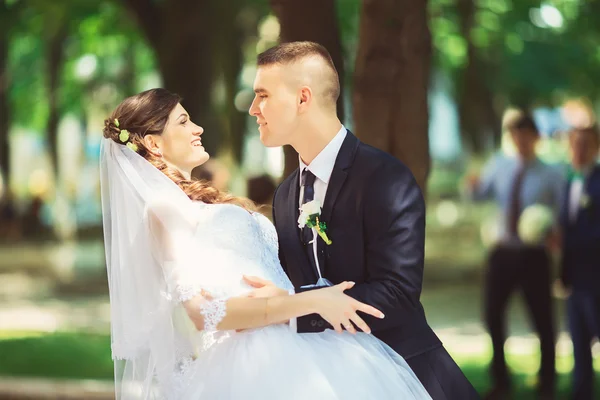 Matrimonio, coppia appena sposata si bacia in un parco, concetto di matrimonio . — Foto Stock