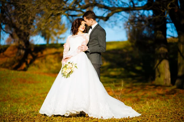 Lusso elegante giovane sposa e sposo sullo sfondo primavera soleggiata foresta verde — Foto Stock