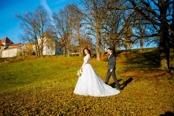 Luxus elegáns fiatal menyasszony és a vőlegény, a háttérben a tavaszi, napsütéses, zöld erdőben — Stock Fotó