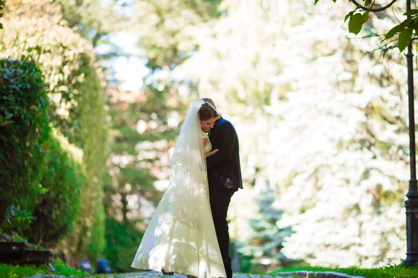 Casamento de luxo casal, noiva e noivo posando no parque no verão — Fotografia de Stock